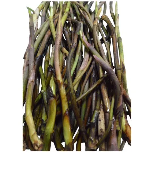 Fresho Colocasia Stem - Kochur Loti, 500 g